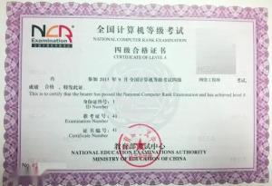 計算機網絡工程 計算機四級網絡工程師的核心實踐領域